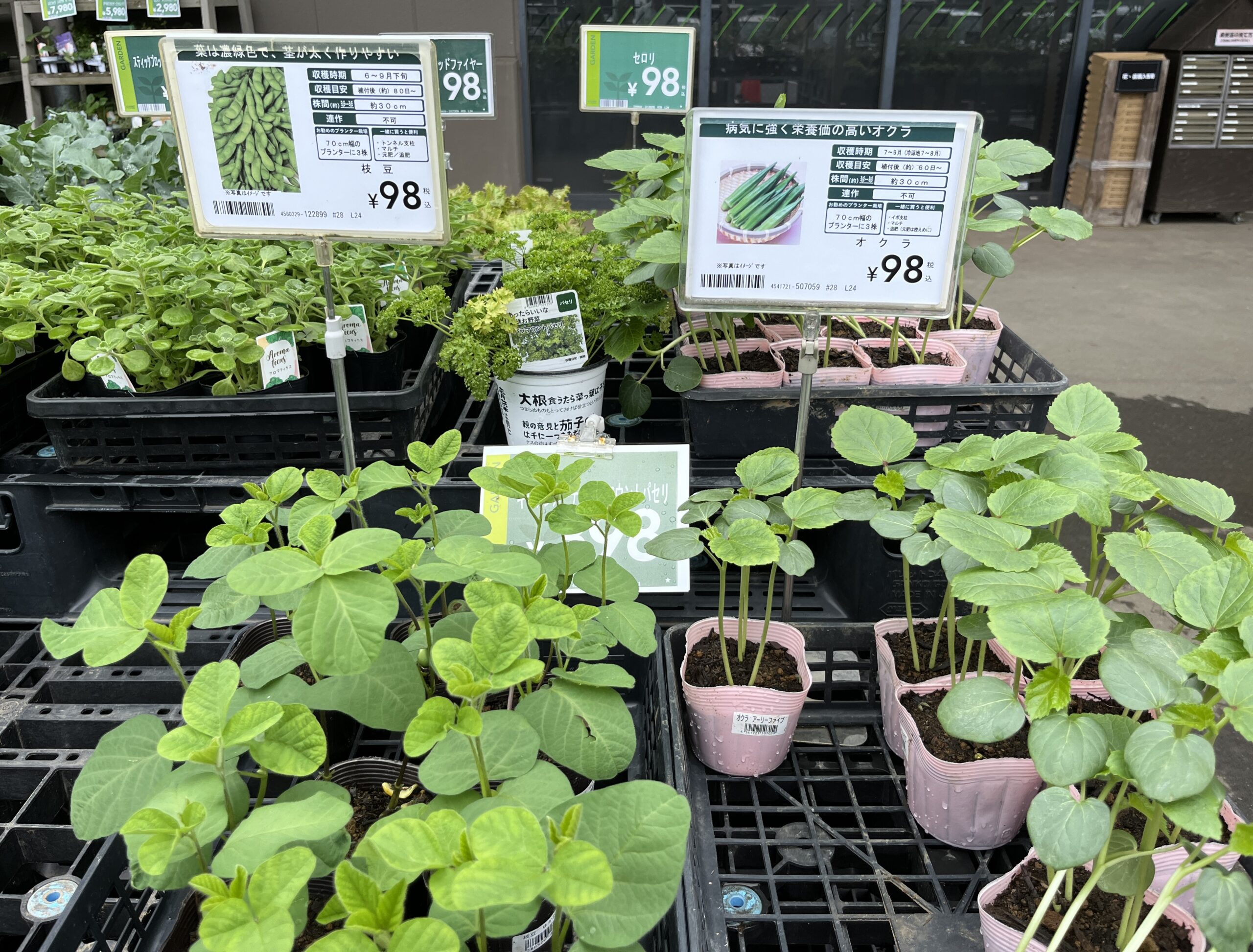 僕が欲しかった２つの野菜、エダマメとオクラが何と隣同士に売られていた。