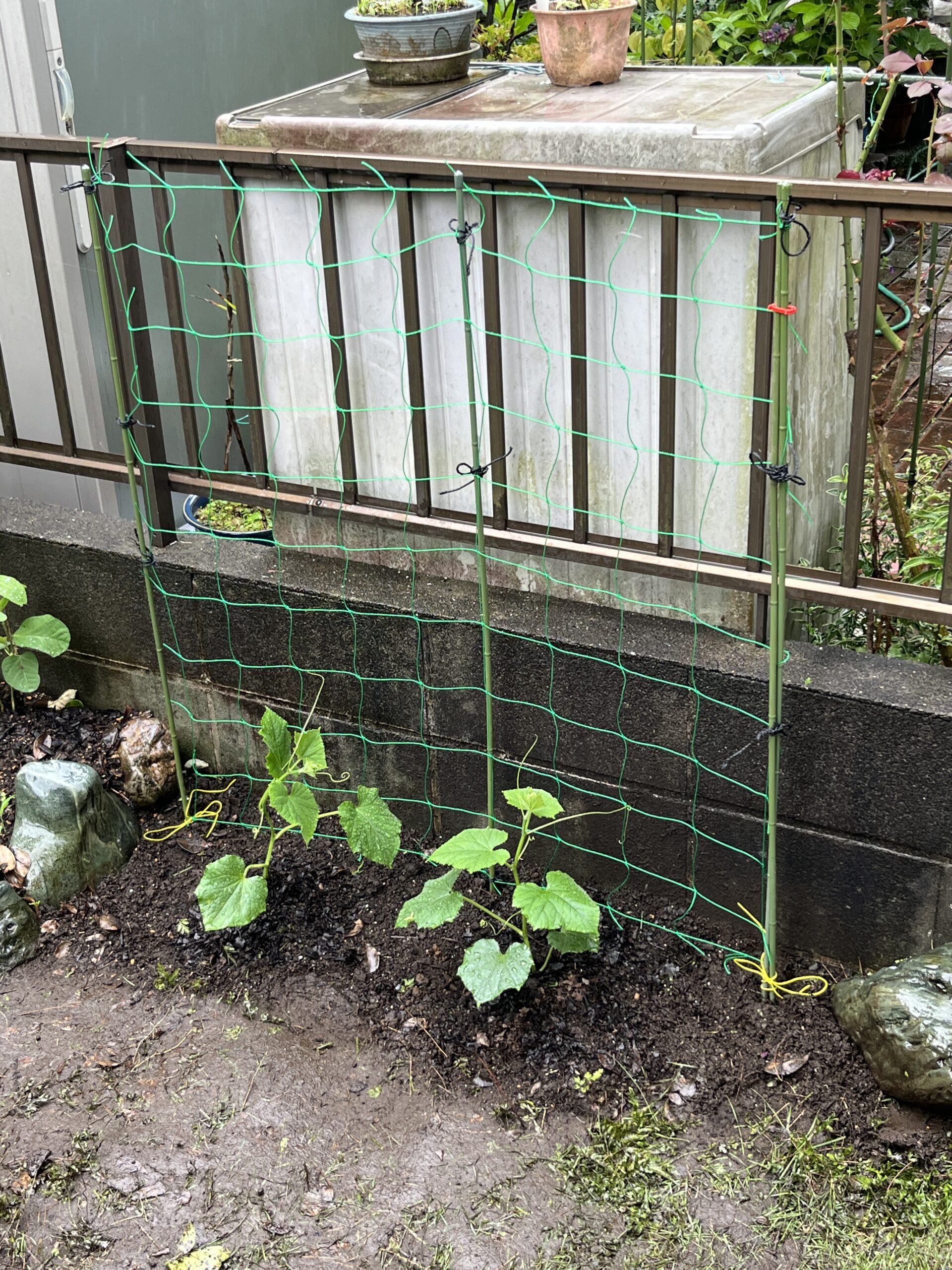 それらしく見える!自画自賛!?