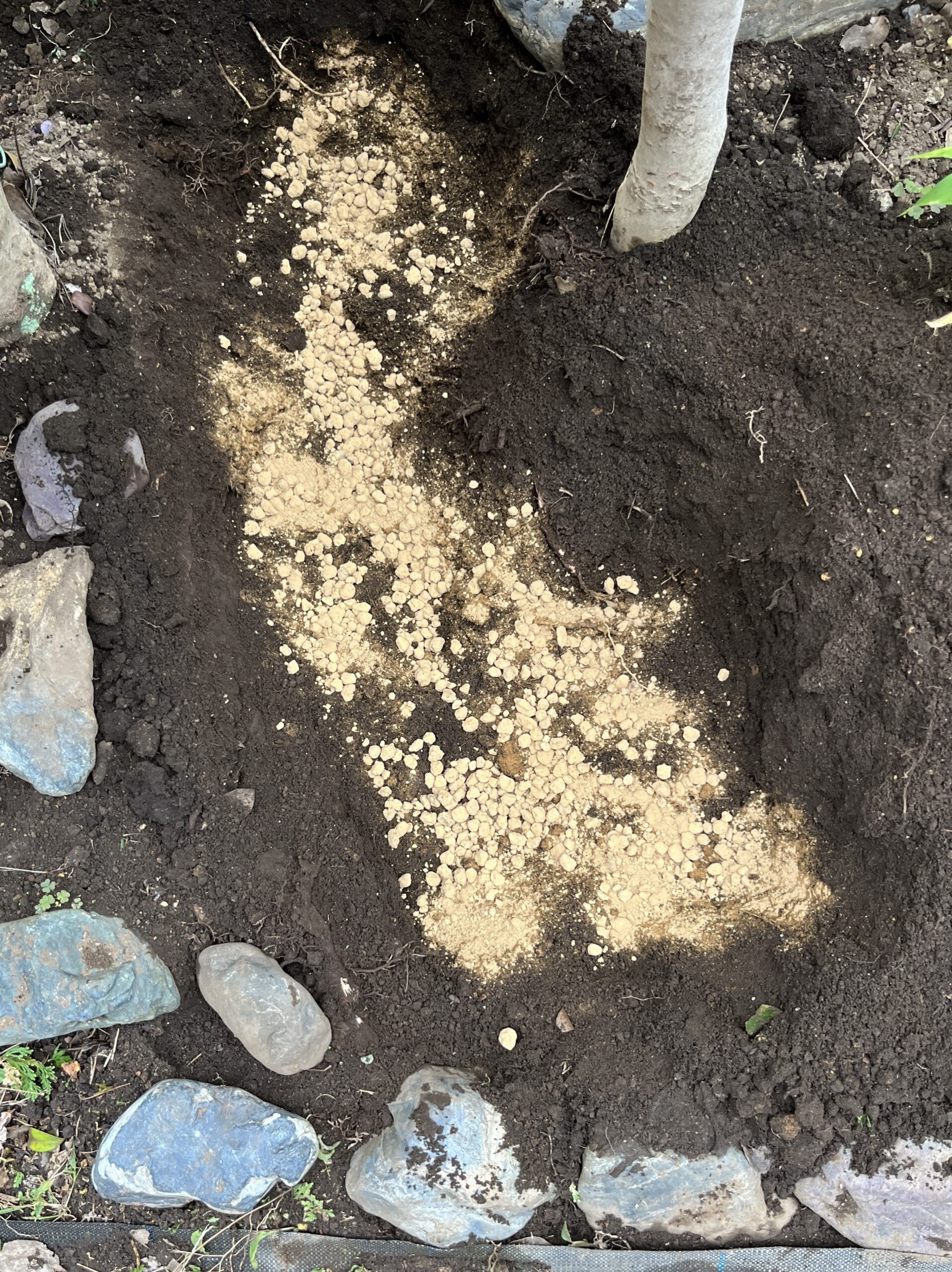 先ずは鹿沼土