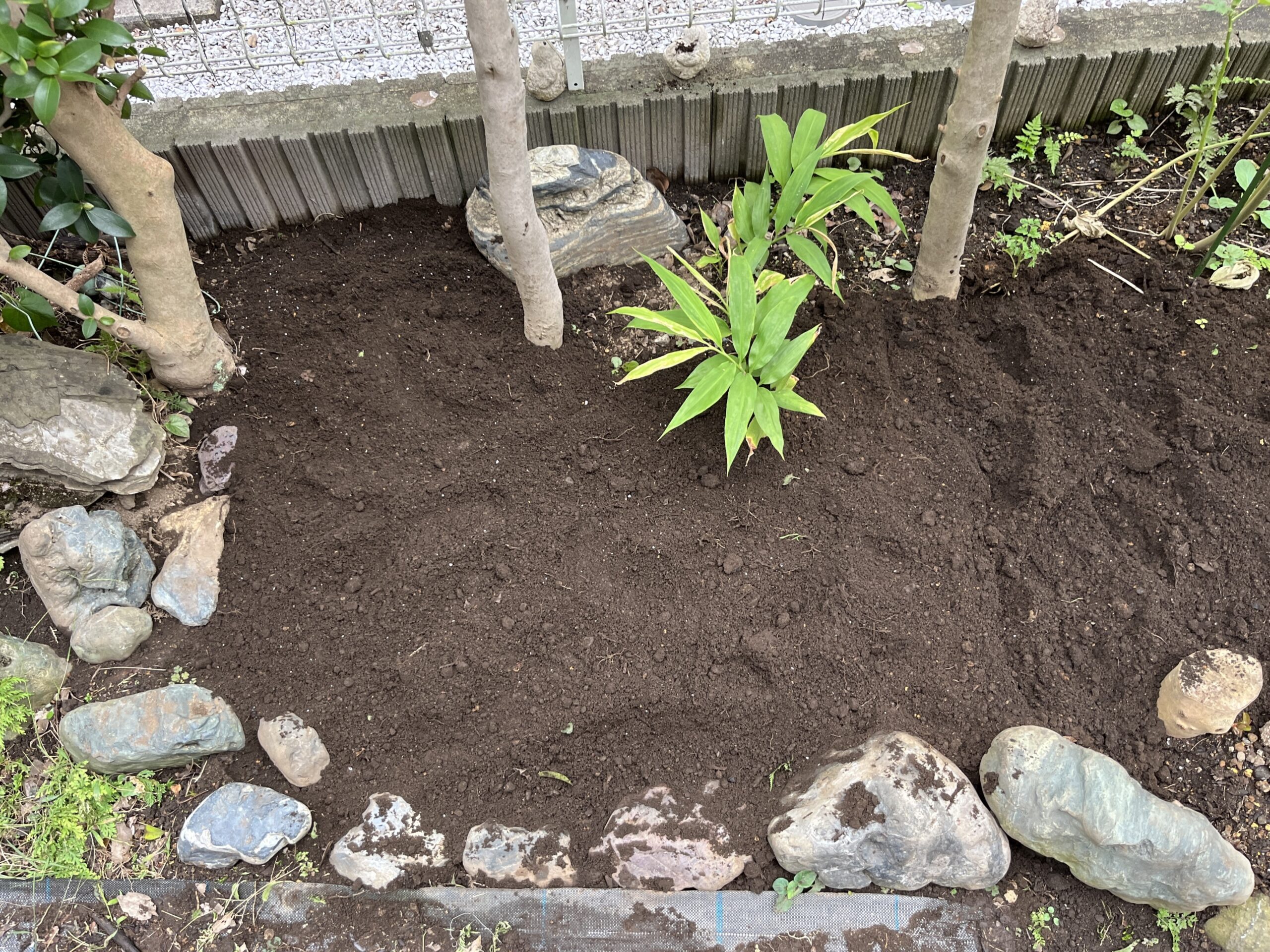 土壌改良が終わったひやかしミニ菜園の拡張スペース。ここが新たなシャクヤク花壇となったわけだ。